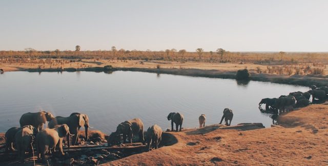 parcs nationaux du Zimbabwe