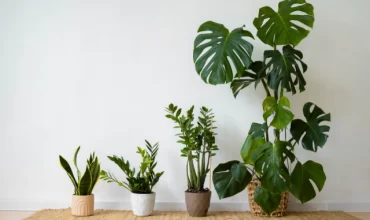 petite plante artificielle bureau