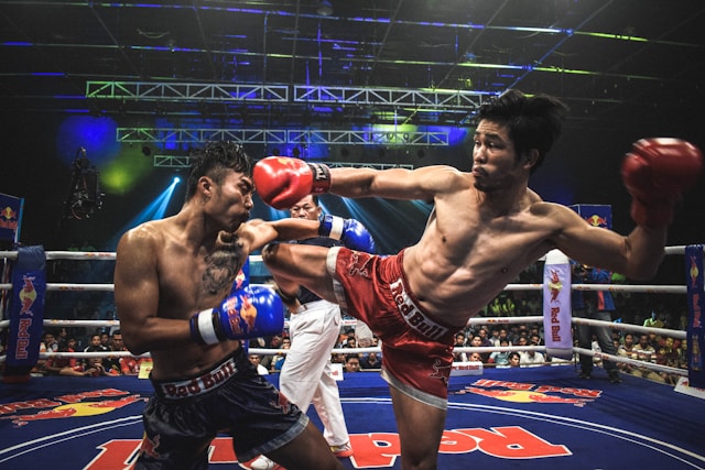 championnat de boxe