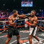 boxe professionnel