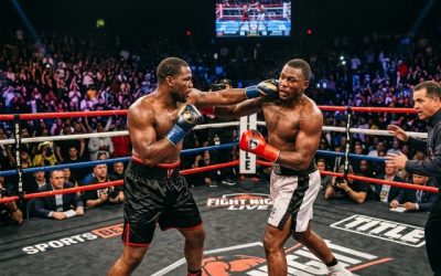 boxe professionnel